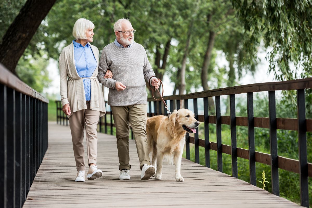 Pareja de personas mayores caminando con su perro.